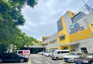 滨湖区办公室绿植租赁厂商